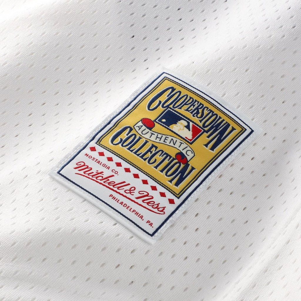 Chicago White Sox Carlton Fisk Mitchell & Ness Authentic Batting Practice Jersey - White
