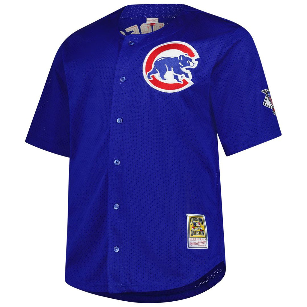 Chicago Cubs Ryne Sandberg Mitchell & Ness Big & Tall Cooperstown Mesh Batting Practice Jersey - Royal