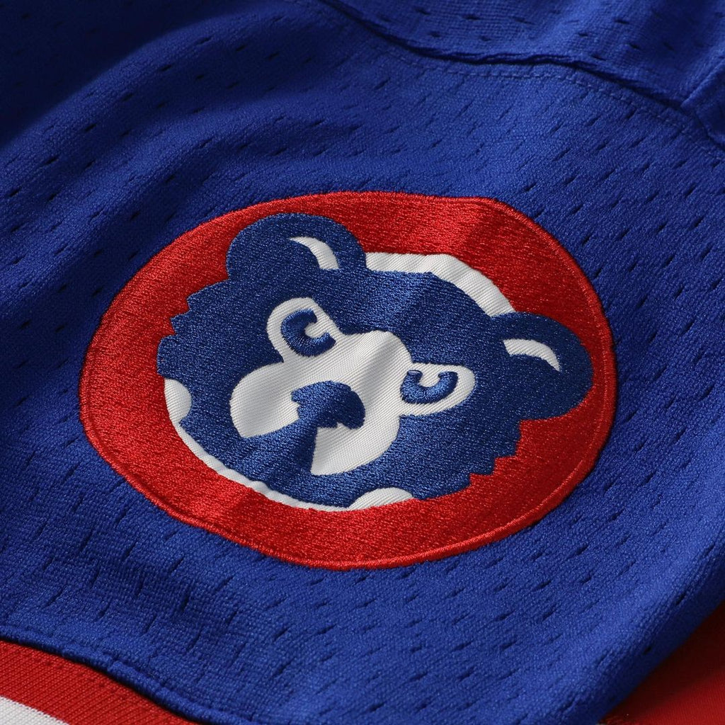 Chicago Cubs Ryne Sandberg Mitchell & Ness Cooperstown 1996 Mesh Batting Practice Button - Up Jersey - Royal