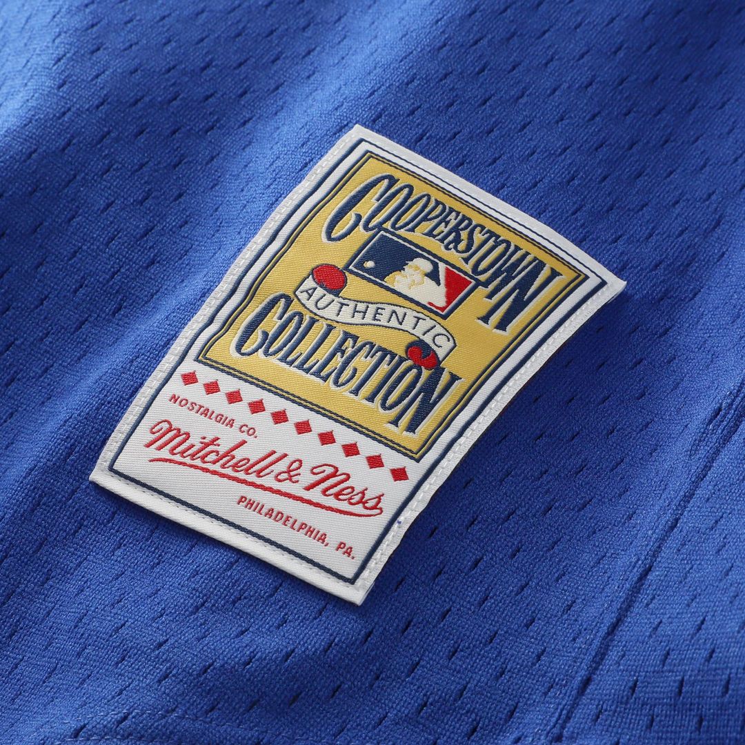 Texas Rangers Nolan Ryan Mitchell & Ness Big & Tall Cooperstown Mesh Batting Practice Jersey - Royal