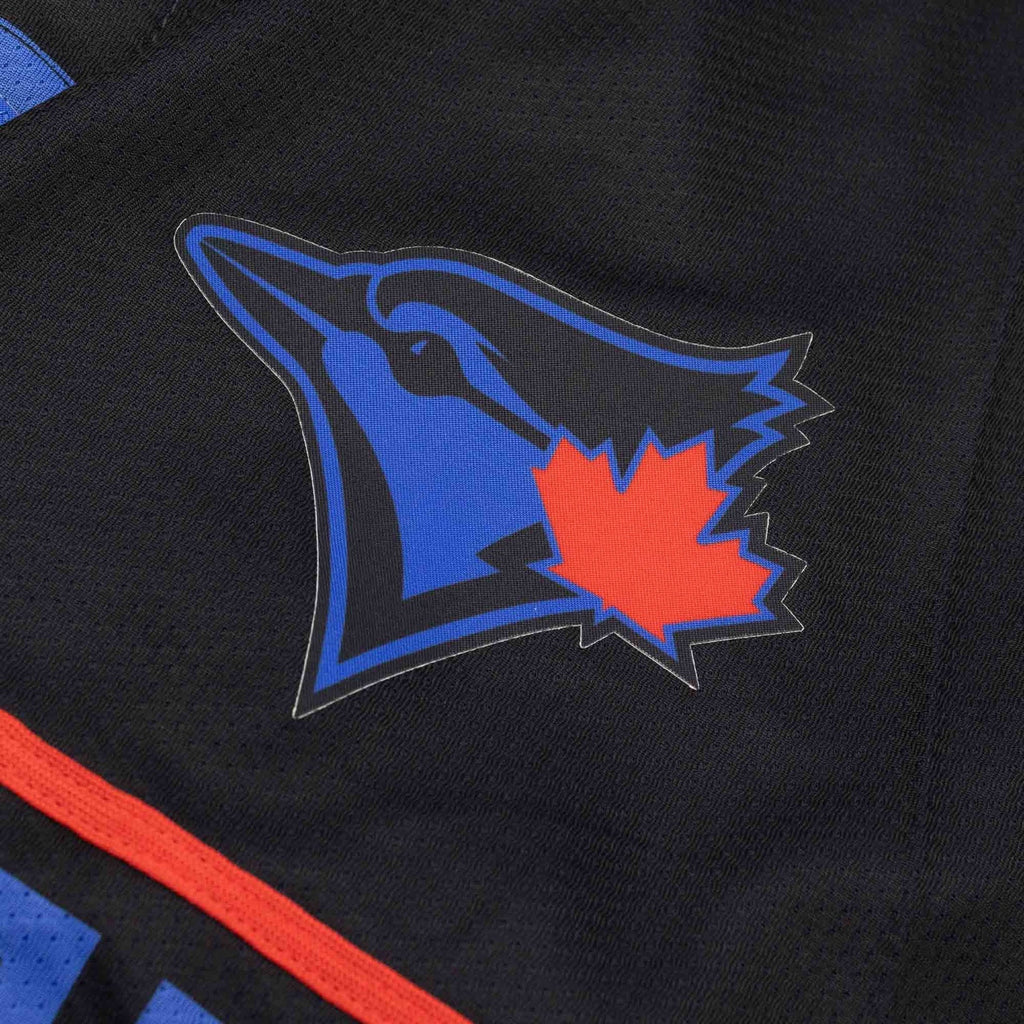 Toronto Blue Jays City Connect MLB Limited Jersey Nike