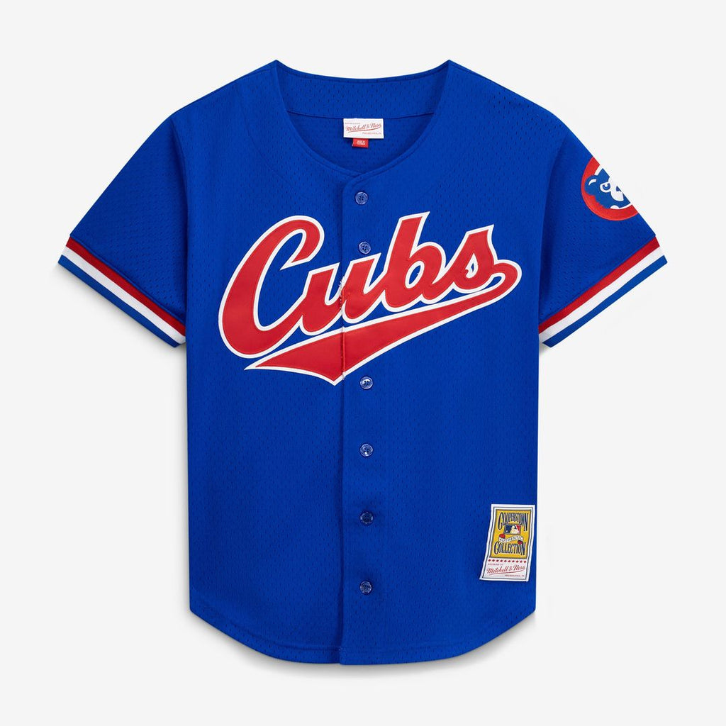 Chicago Cubs Ryne Sandberg Mitchell & Ness Cooperstown 1996 Mesh Batting Practice Button - Up Jersey - Royal