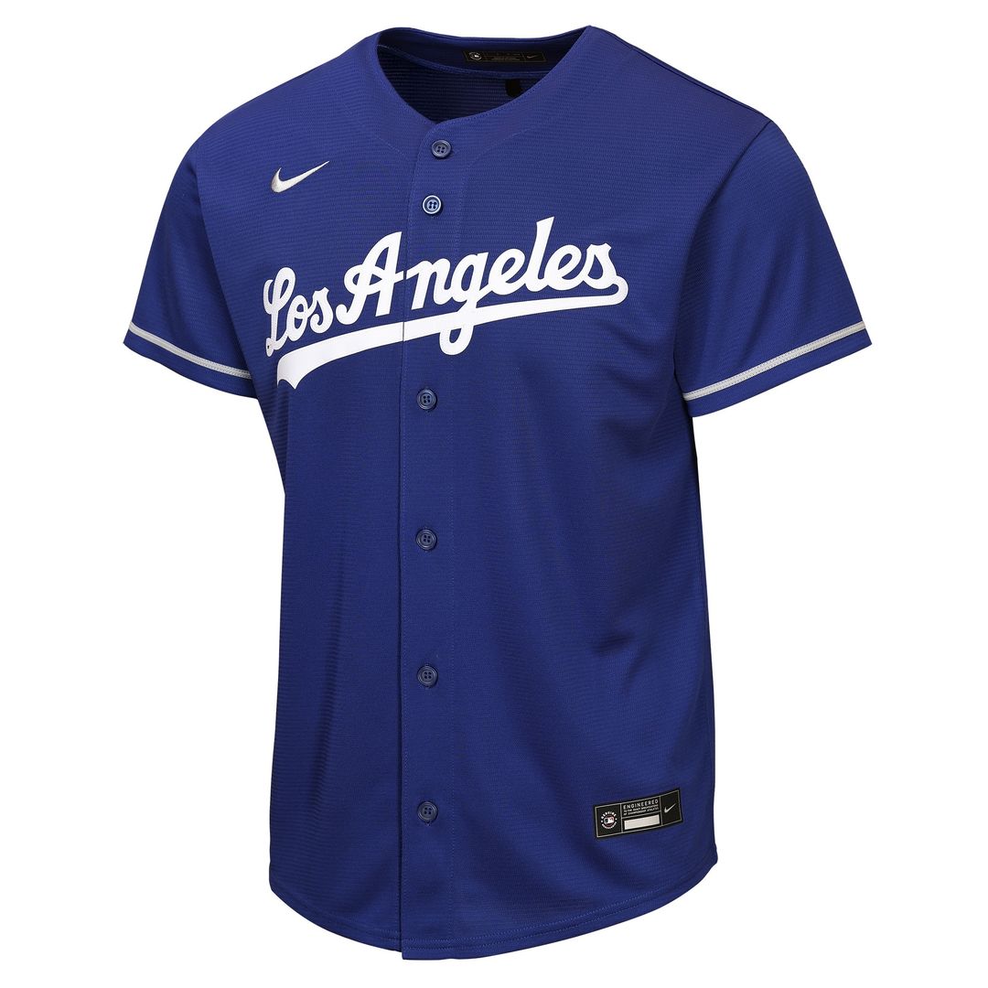 Los Angeles Dodgers Freddie Freeman Nike Youth Alternate Replica Jersey - Royal