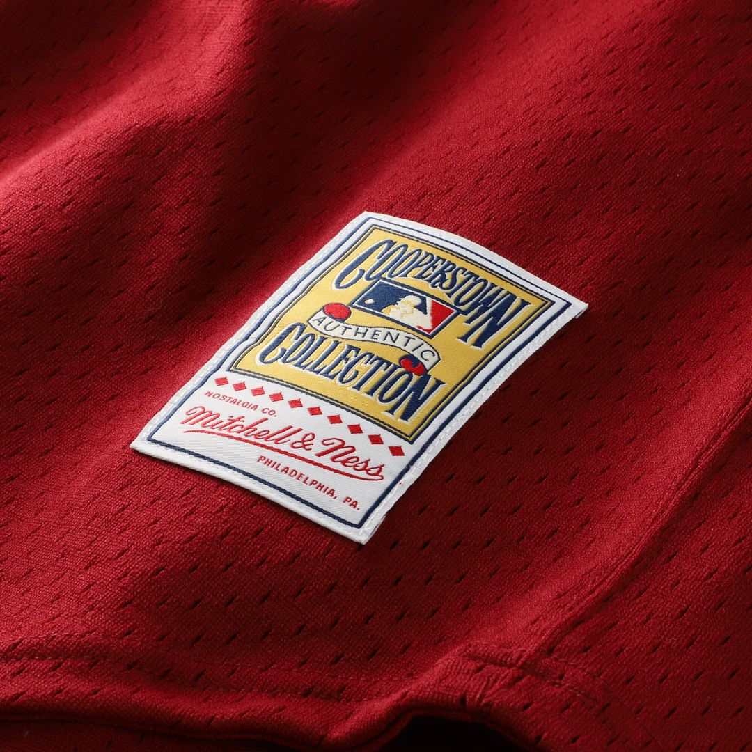 Philadelphia Phillies Darren Daulton Mitchell & Ness Authentic Batting Practice Jersey - Scarlet