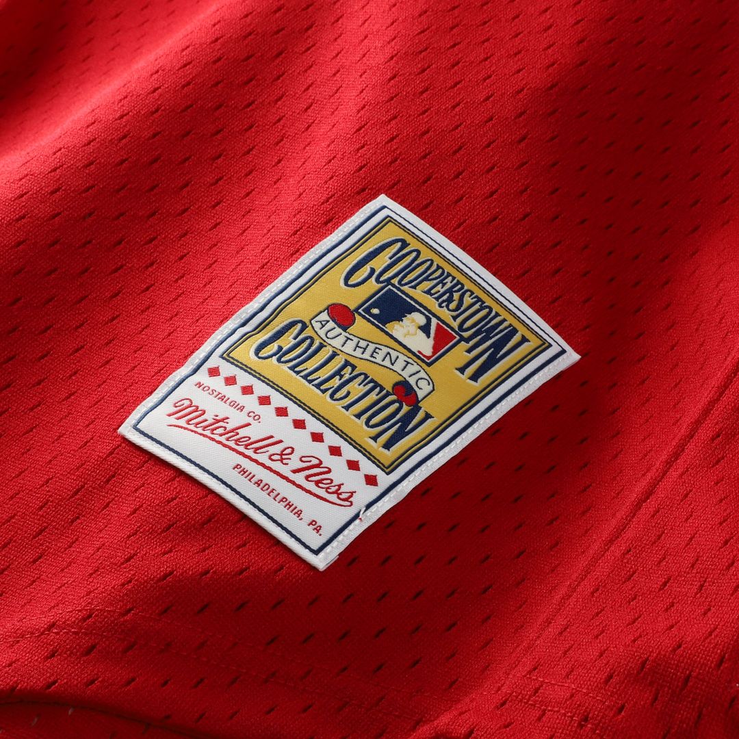 St. Louis Cardinals Ozzie Smith Mitchell & Ness Authentic Batting Practice Jersey - Navy